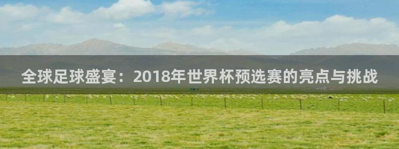 西超杯直播:全球足球盛宴:2018年世界杯预选赛的亮点与挑战