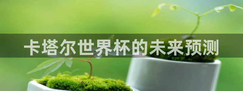 世界杯官网入口:卡塔尔世界杯的未来预测