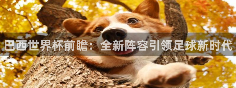 2026世界杯预选赛:巴西世界杯前瞻:全新阵容引领足球新时代