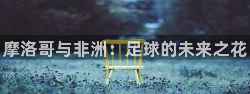 世界杯直播免费观看:摩洛哥与非洲:足球的未来之花