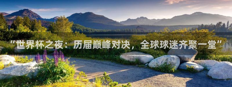 英足总杯直播:“世界杯之夜:历届巅峰对决,全球球迷齐聚一堂”