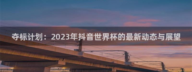 足球世界杯:夺标计划:2023年抖音世界杯的最新动态与展望