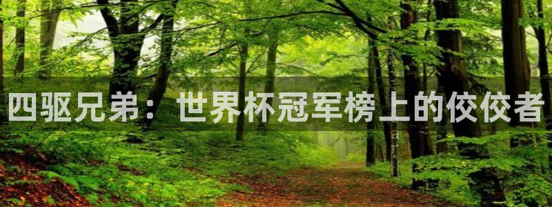 今年的世界杯:四驱兄弟:世界杯冠军榜上的佼佼者