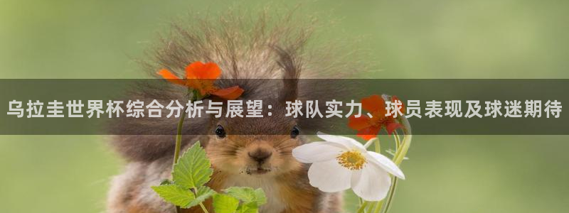世界杯预选赛欧洲区赛程:乌拉圭世界杯综合分析与展望:球队实力、球员表现及球迷期待