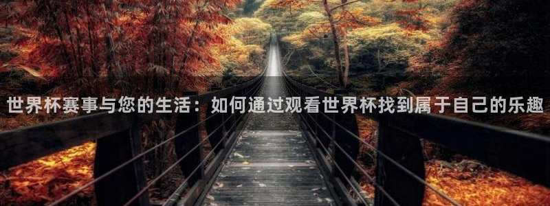 世界杯今日赛程直播:世界杯赛事与您的生活:如何通过观看世界杯找到属于自己的乐趣